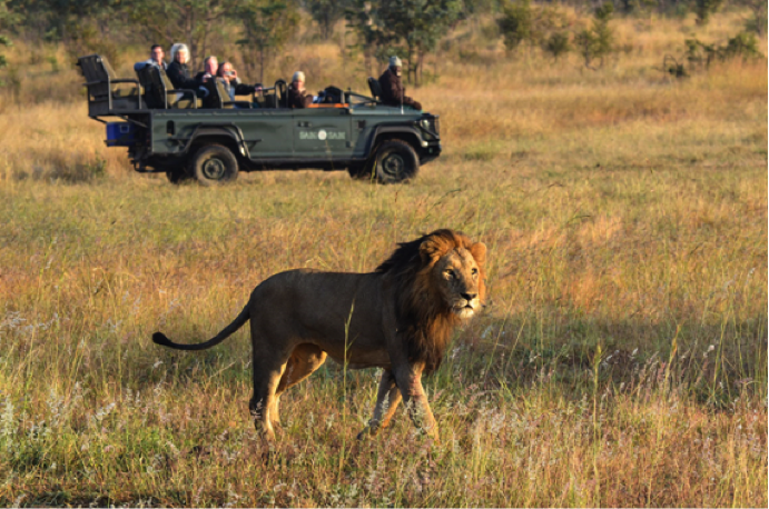 safari-animals
