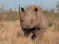 tanzania-4