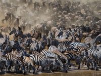 tanzania-5
