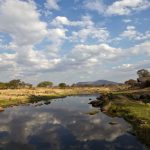 Ruaha river view from Ruaha River Lodge