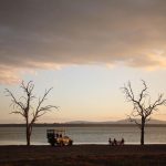 Southern Tanzania Safari Selous