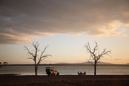 Southern Tanzania Safari Selous