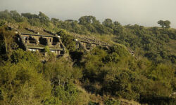 1103 Exterior View at a Distance