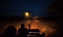 Night game drive at Kuro Tarangire