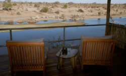 balcony-during-day-with-zebra-jpg