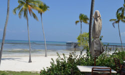 beach_view_theresidence_zanzibar