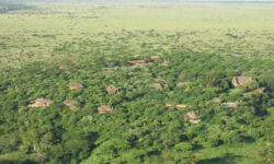 birdseye-view-of-lewa-wilderness