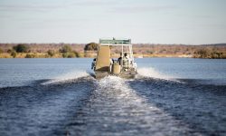 boat_cruise_zambezi