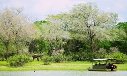 boat_safari