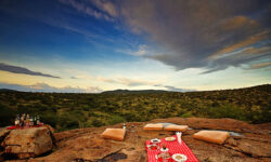 bush_lunch