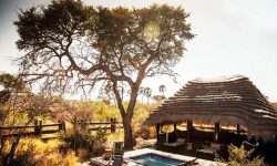 Camp Kalahari, Uncharted Africa