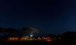 camp-at-night