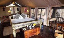 camp_room-katavi_wildlife