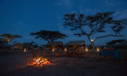 campfire