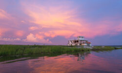 chobe-morkel-19