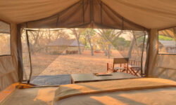 Chobe_under_canvasTent1.jpg