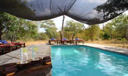 cool-off-at-our-shaded-swimming-pool-at-siwandu