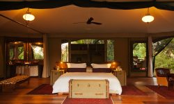_copyright_beverly_joubert_mara_camp_kenya_6171