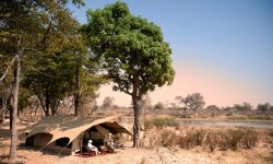 _copyright_beverly_joubert_selindaexploreres_camp_botswana_4422