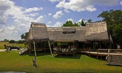_copyright_beverly_joubert_selinda_camp_botswana_4090