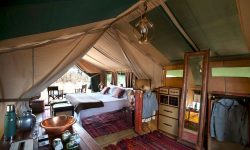 _copyright_dook_selindaexploreres_camp_botswana_4423