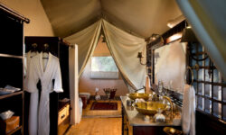 dubaexpeditioncamp_guestbathroom_dook