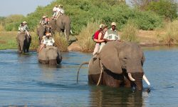 elephant_ride_5