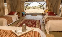 family-tent