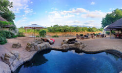 fitzpatricks-at-jock-view-from-the-pool