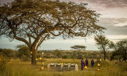 Four Seasons Serengeti Bush dinner setting