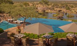 Four Seasons Serengeti view of Elephants