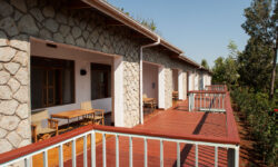 garden-view