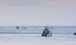 hemingways-watamu-boats-14