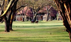 horse_riding