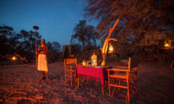 Fly camping dinner