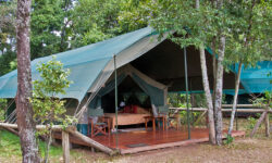 _mg_2428_private_camp_tent