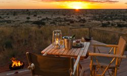 Tswalu Game Reserve. Southern Kalahari. Northern Cape. South Africa.