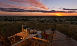 Tswalu Game Reserve. Southern Kalahari. Northern Cape. South Africa.