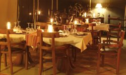 mara-ngenche-safari-camp-masai-mara-8