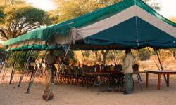 mdonyadiningtent1