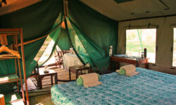 mdonyafamilytentinterior4