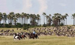 migration-ride-4
