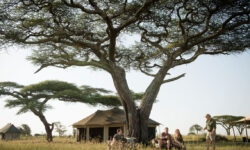 namiri-plains-lounge-area-exterior