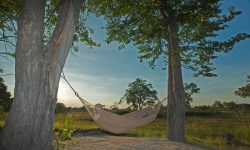 new-explorers-main-area_selinda-reserve_beverly-joubert20150307_3560
