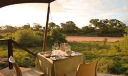 ngalatentedcamp_dining_experience