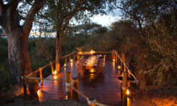 Dining Terrace under Baobab at Olivers Camp