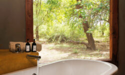 pb-family-tent-bathroom