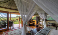 room-4_hi-res