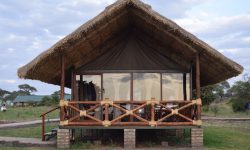 Tent view at Tarangire Simba Lodge