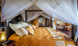 room_family_004